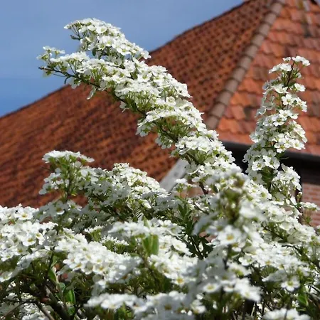 Holiday home With 1 Bedroom Mardorf (Hannover)
